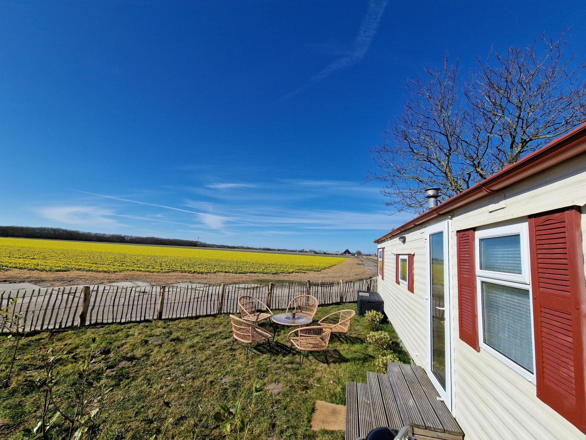 Chalet 'Como La Flor' Julianadorp Flowerfields Overview! Exteriér fotografie